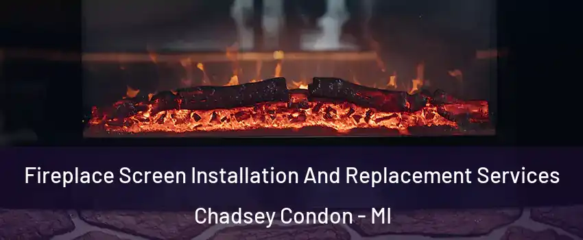 Fireplace Screen Installation And Replacement Services Chadsey Condon - MI