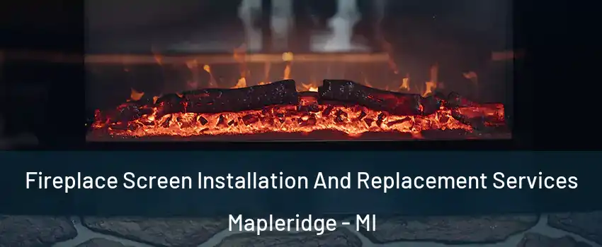 Fireplace Screen Installation And Replacement Services Mapleridge - MI