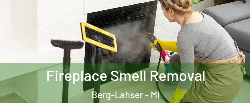 Fireplace Smell Removal Berg-Lahser - MI