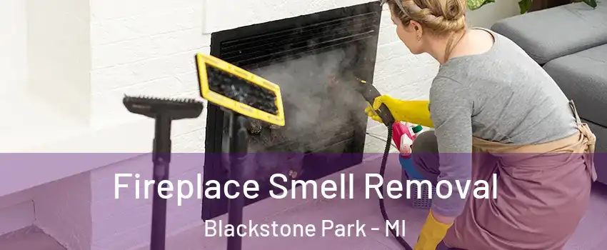 Fireplace Smell Removal Blackstone Park - MI