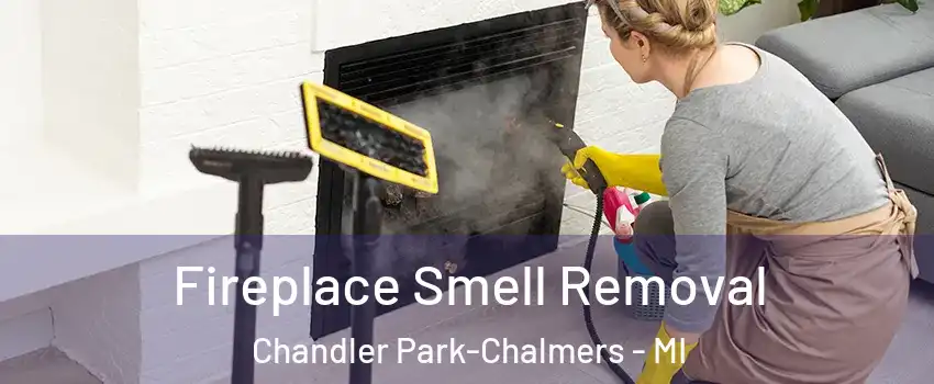 Fireplace Smell Removal Chandler Park-Chalmers - MI