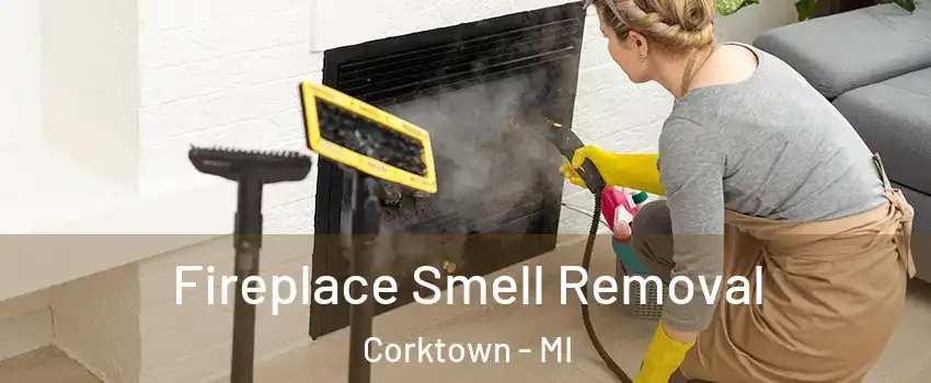 Fireplace Smell Removal Corktown - MI