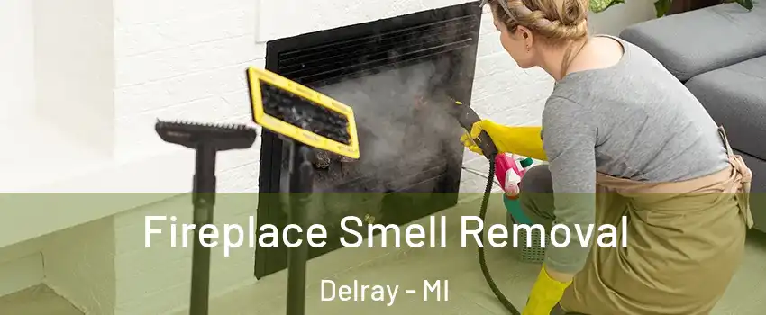 Fireplace Smell Removal Delray - MI