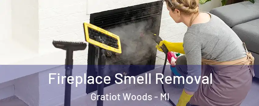 Fireplace Smell Removal Gratiot Woods - MI