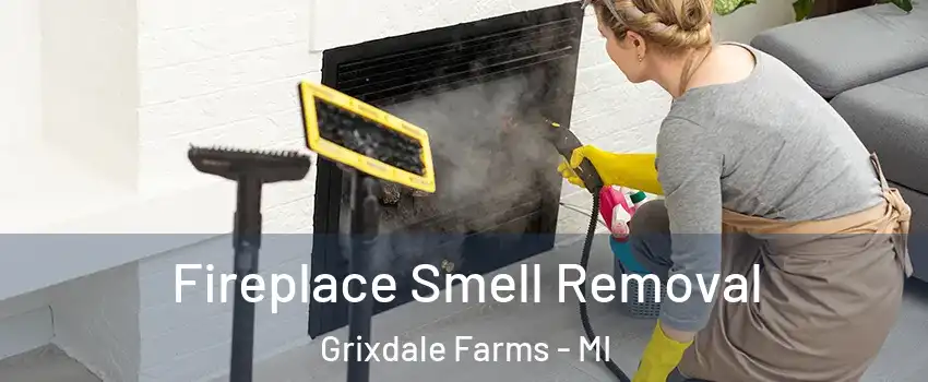 Fireplace Smell Removal Grixdale Farms - MI