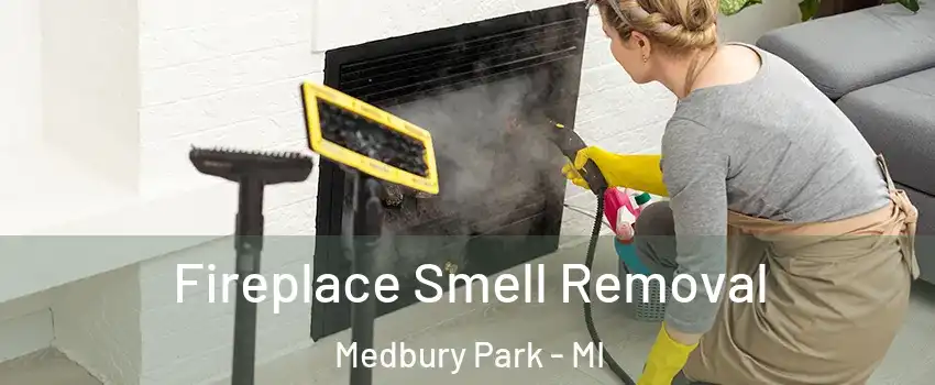 Fireplace Smell Removal Medbury Park - MI