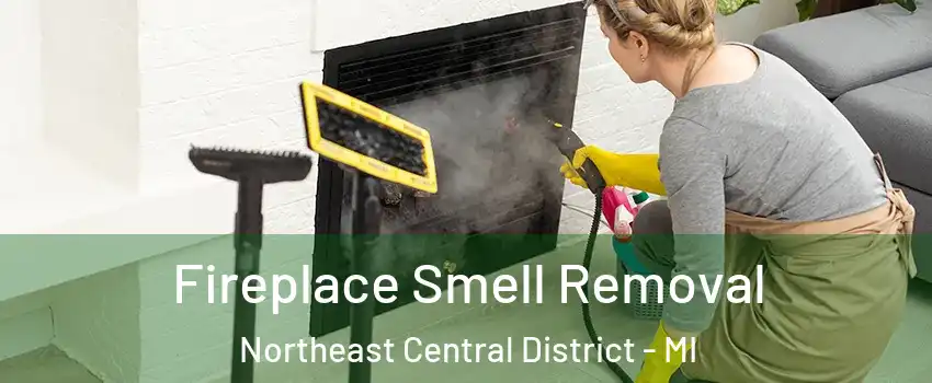 Fireplace Smell Removal Northeast Central District - MI