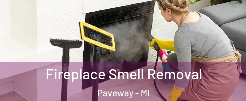Fireplace Smell Removal Paveway - MI