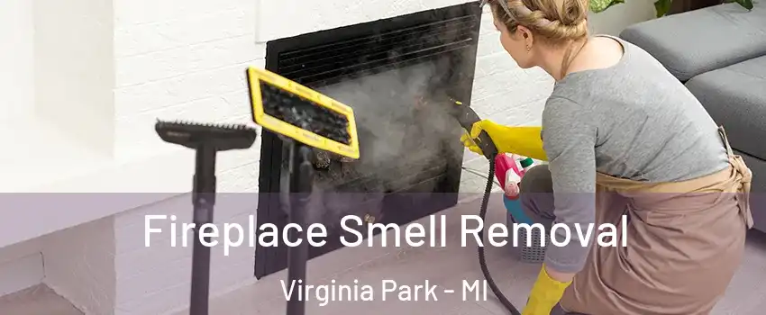 Fireplace Smell Removal Virginia Park - MI