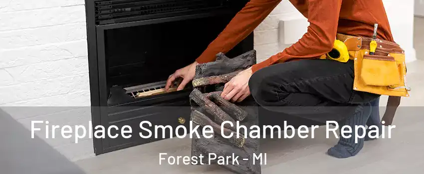 Fireplace Smoke Chamber Repair Forest Park - MI