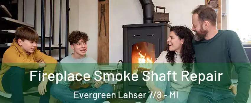 Fireplace Smoke Shaft Repair Evergreen Lahser 7/8 - MI