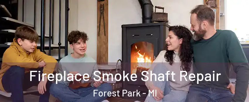 Fireplace Smoke Shaft Repair Forest Park - MI