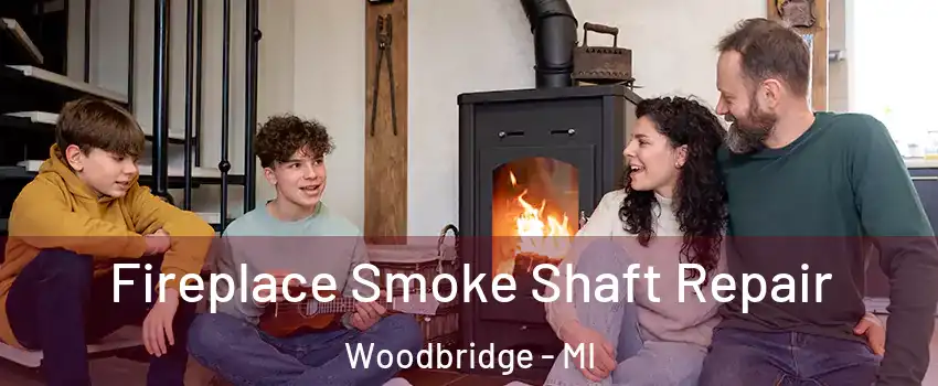 Fireplace Smoke Shaft Repair Woodbridge - MI