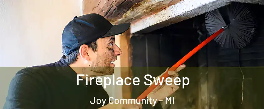 Fireplace Sweep Joy Community - MI
