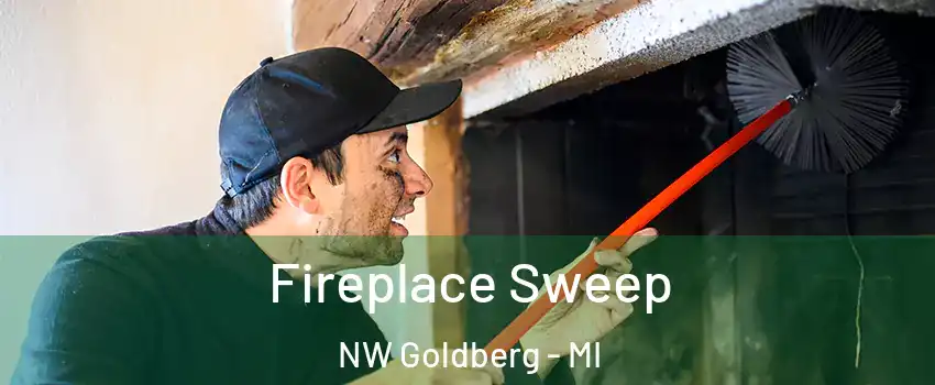 Fireplace Sweep NW Goldberg - MI