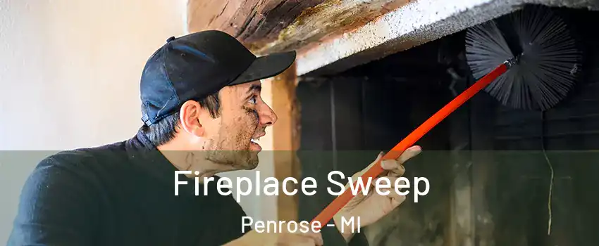 Fireplace Sweep Penrose - MI