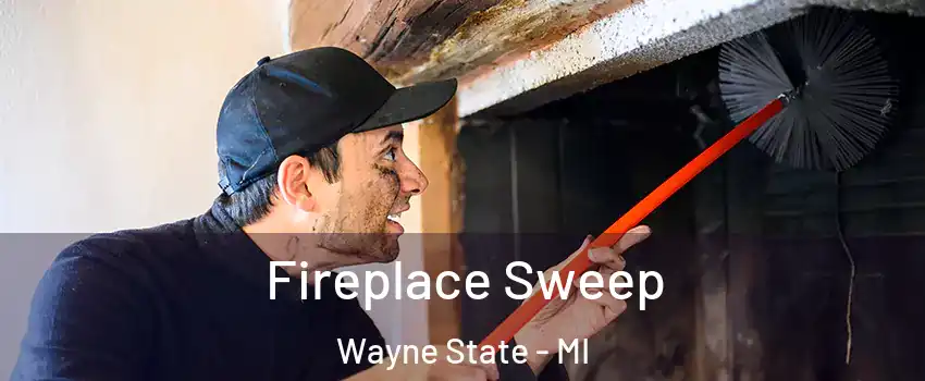 Fireplace Sweep Wayne State - MI