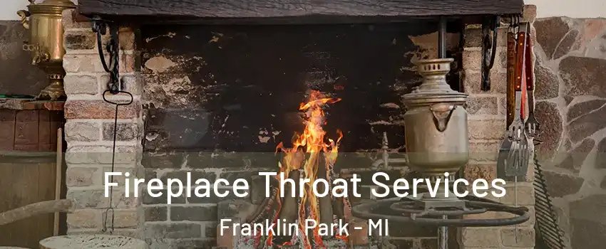 Fireplace Throat Services Franklin Park - MI