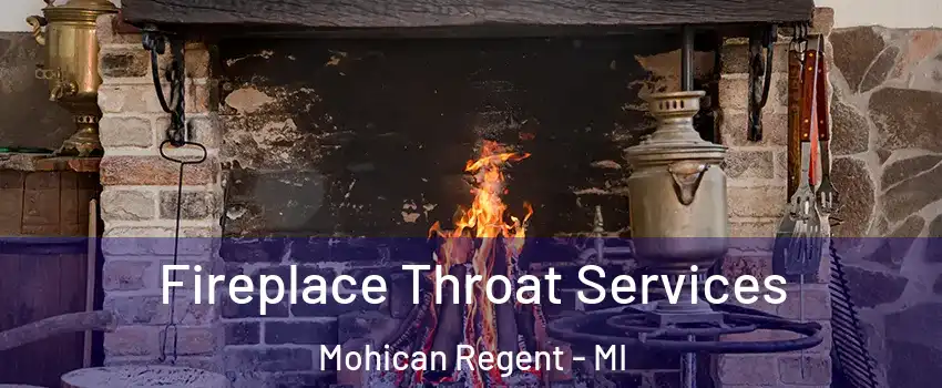 Fireplace Throat Services Mohican Regent - MI