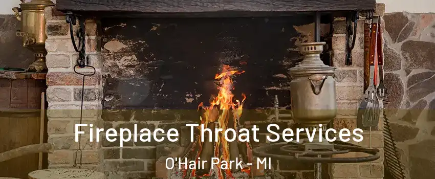 Fireplace Throat Services O'Hair Park - MI