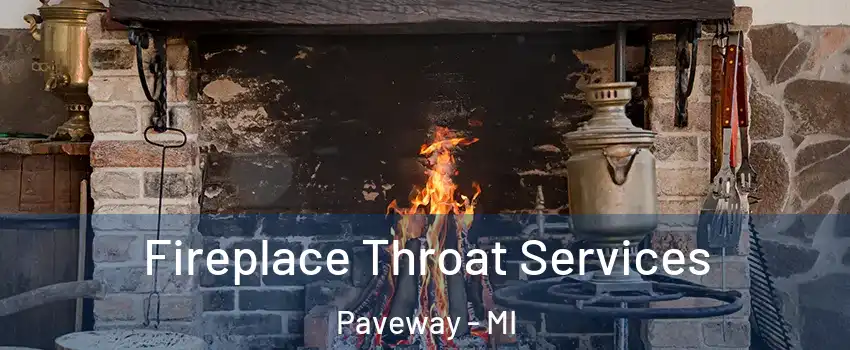 Fireplace Throat Services Paveway - MI