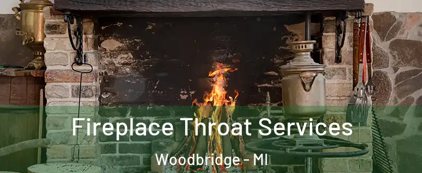 Fireplace Throat Services Woodbridge - MI