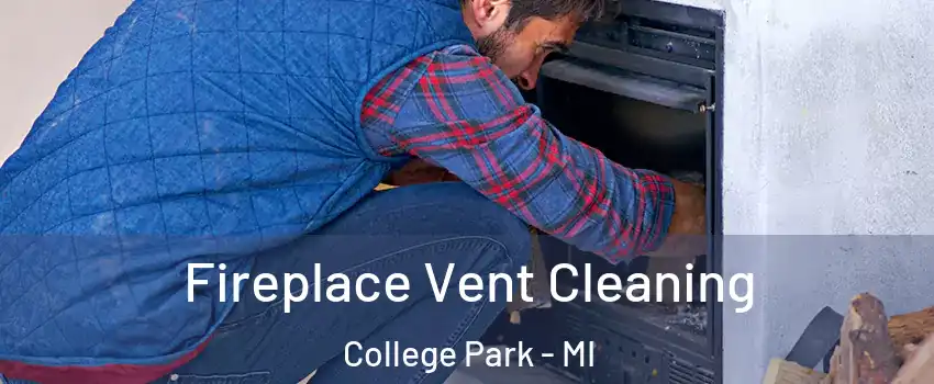 Fireplace Vent Cleaning College Park - MI