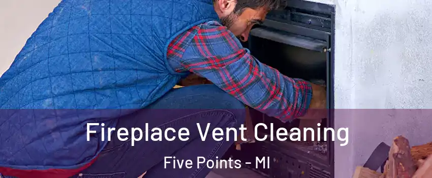 Fireplace Vent Cleaning Five Points - MI
