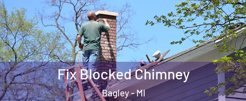 Fix Blocked Chimney Bagley - MI