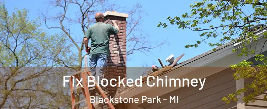 Fix Blocked Chimney Blackstone Park - MI