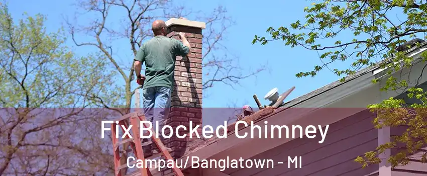 Fix Blocked Chimney Campau/Banglatown - MI