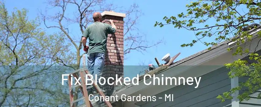 Fix Blocked Chimney Conant Gardens - MI