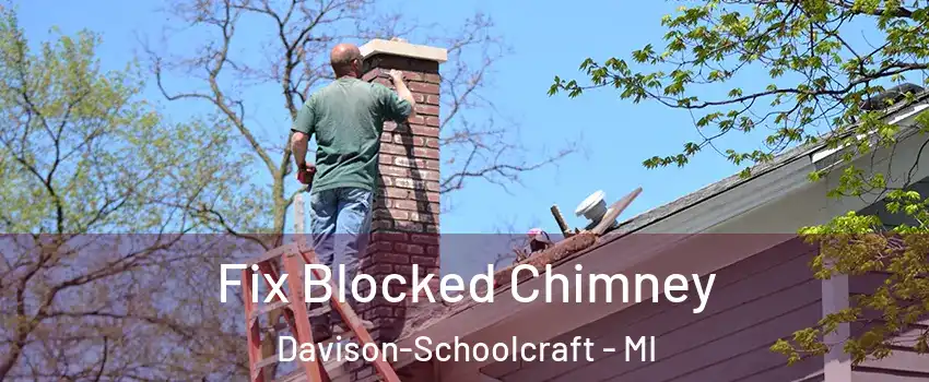 Fix Blocked Chimney Davison-Schoolcraft - MI