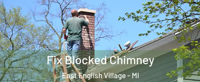 Fix Blocked Chimney East English Village - MI