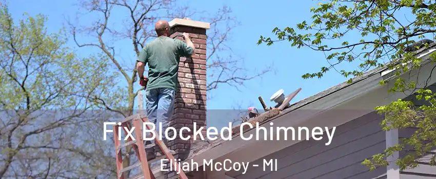 Fix Blocked Chimney Elijah McCoy - MI
