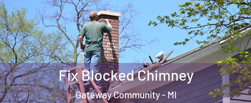 Fix Blocked Chimney Gateway Community - MI