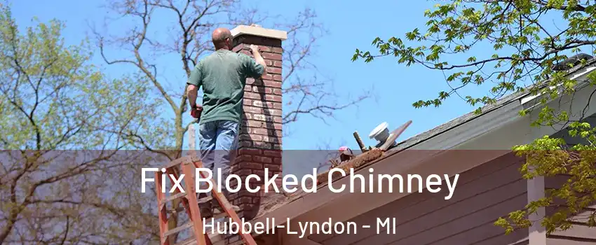 Fix Blocked Chimney Hubbell-Lyndon - MI