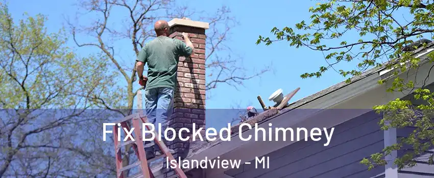 Fix Blocked Chimney Islandview - MI