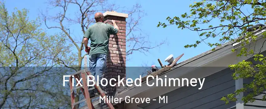 Fix Blocked Chimney Miller Grove - MI