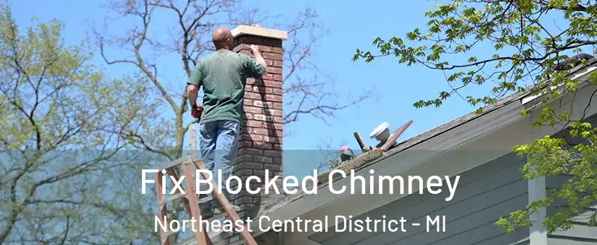 Fix Blocked Chimney Northeast Central District - MI