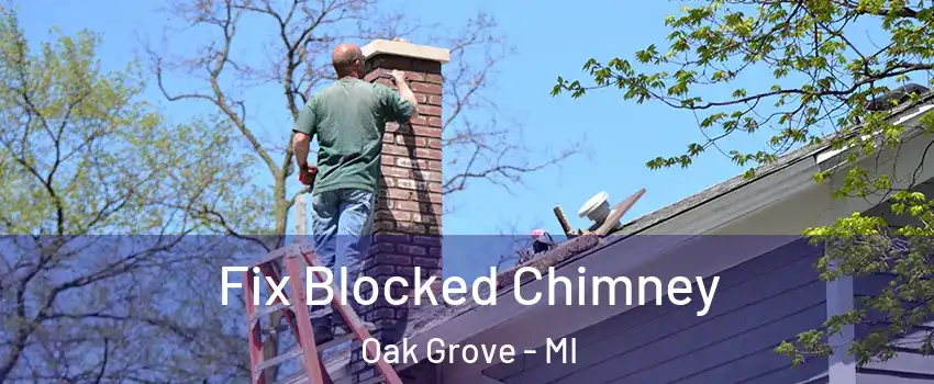Fix Blocked Chimney Oak Grove - MI