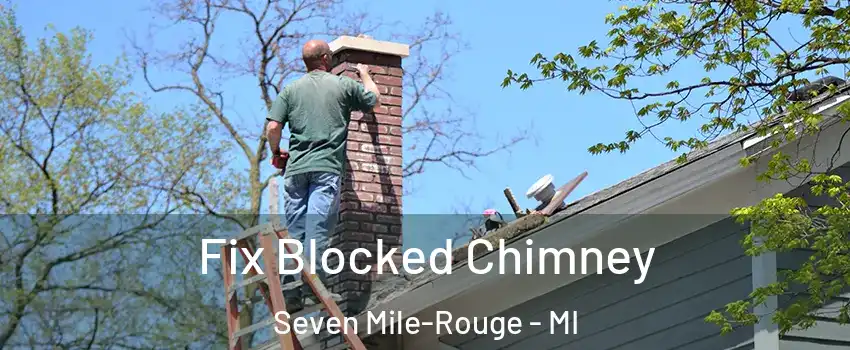 Fix Blocked Chimney Seven Mile-Rouge - MI