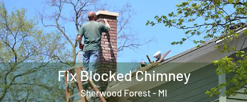 Fix Blocked Chimney Sherwood Forest - MI