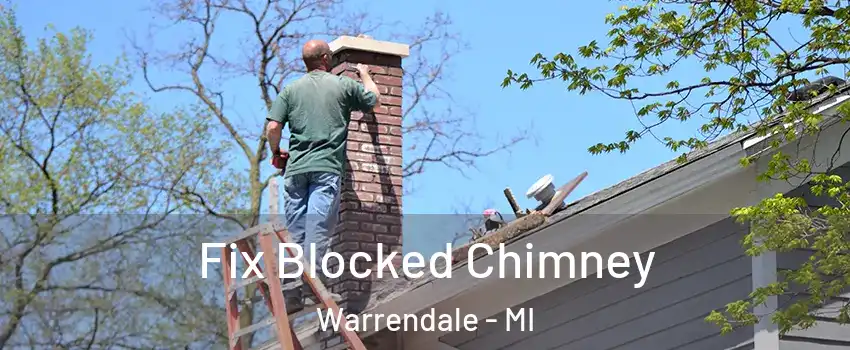 Fix Blocked Chimney Warrendale - MI