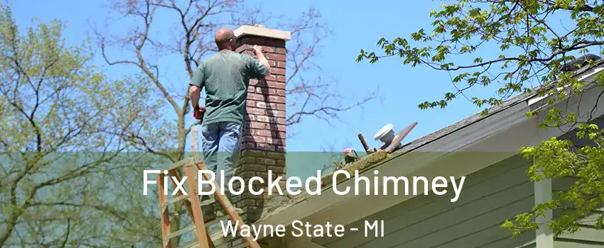 Fix Blocked Chimney Wayne State - MI