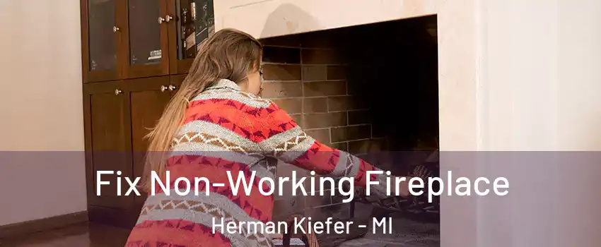 Fix Non-Working Fireplace Herman Kiefer - MI