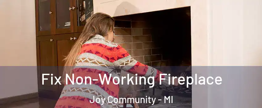 Fix Non-Working Fireplace Joy Community - MI