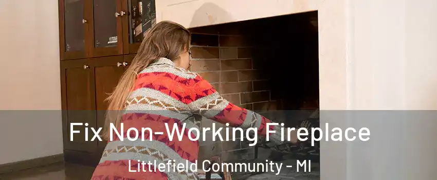 Fix Non-Working Fireplace Littlefield Community - MI