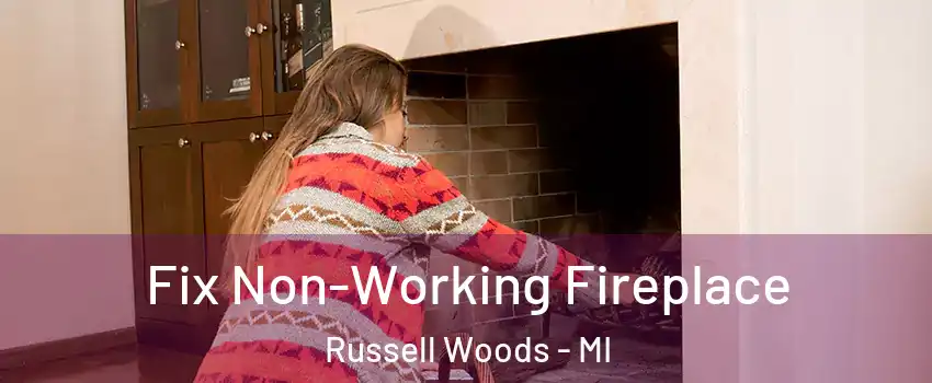 Fix Non-Working Fireplace Russell Woods - MI