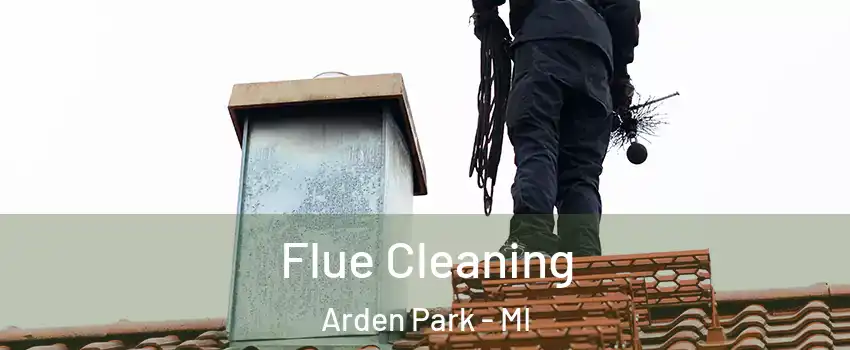 Flue Cleaning Arden Park - MI
